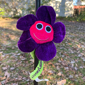 HappyFlower_1200x1200.jpg?v=